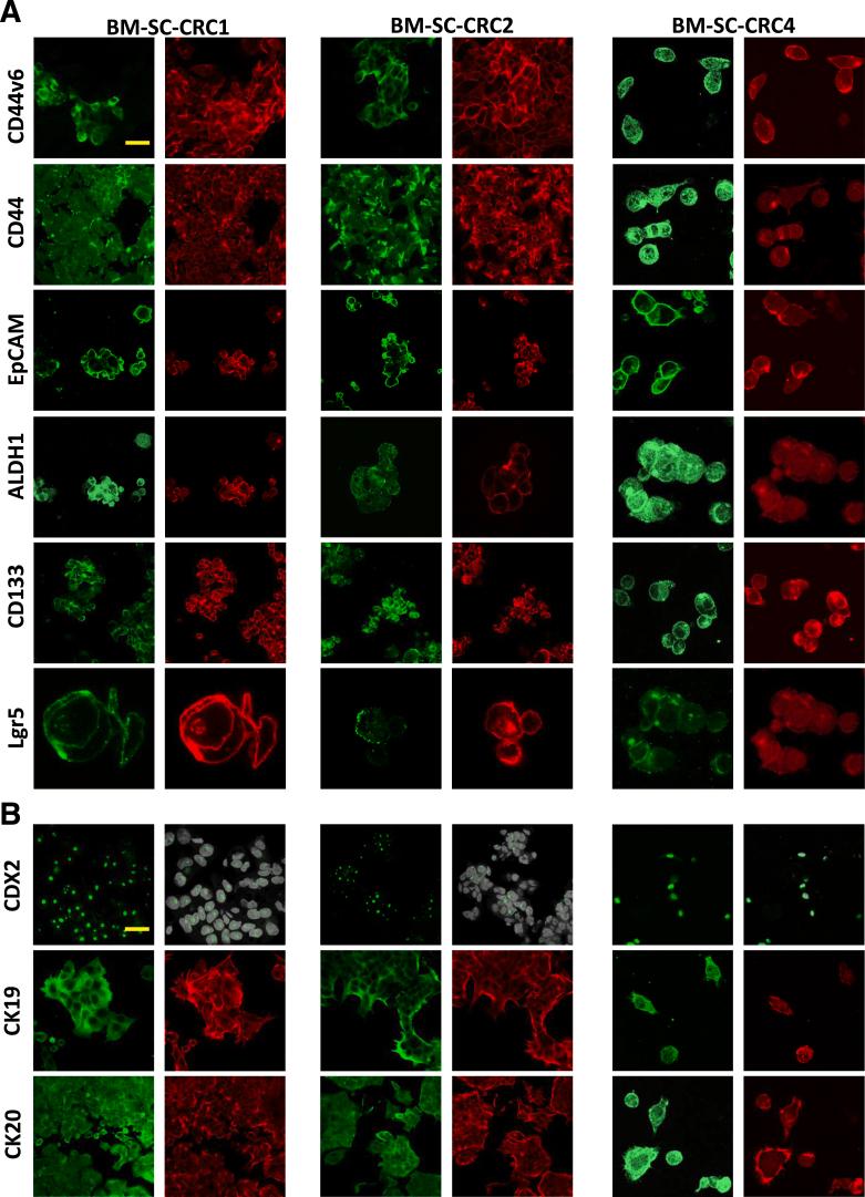 https://cdn.ncbi.nlm.nih.gov/pmc/blobs/8d77/10520365/4a0806d788a4/gr4.jpg