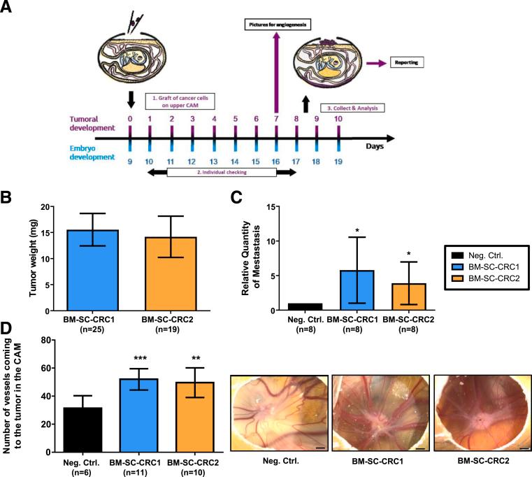https://cdn.ncbi.nlm.nih.gov/pmc/blobs/8d77/10520365/a394bd4186e4/gr6.jpg