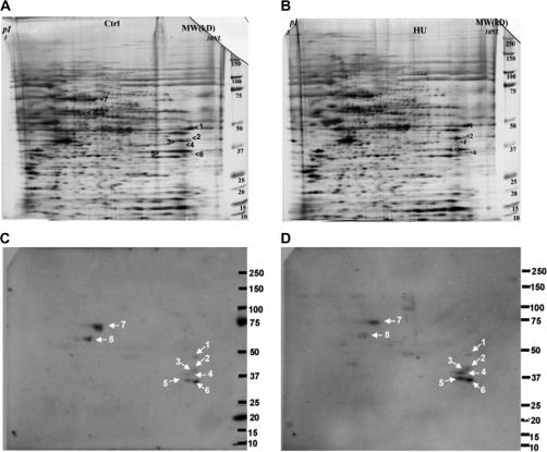 https://cdn.ncbi.nlm.nih.gov/pmc/blobs/8d77/2984529/b550c640dc6a/toxscikfq287f02_ht.jpg
