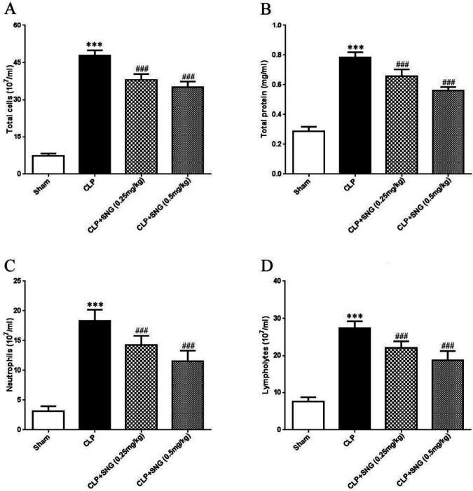 https://cdn.ncbi.nlm.nih.gov/pmc/blobs/8d78/7478255/ef86dac2b739/IJBMS-23-1059-g002.jpg