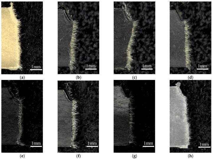 https://cdn.ncbi.nlm.nih.gov/pmc/blobs/8d7d/11054406/3555c6974ae8/polymers-16-01110-g012.jpg