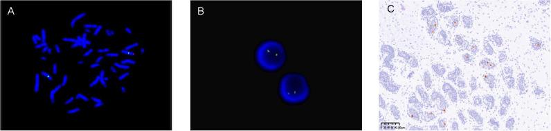 https://cdn.ncbi.nlm.nih.gov/pmc/blobs/8d7e/12141018/023d03dc52dd/fendo-16-1571467-g002.jpg