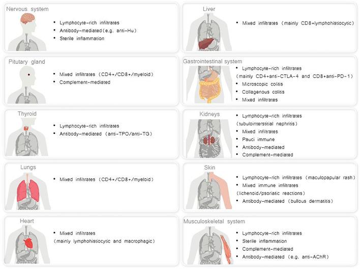 https://cdn.ncbi.nlm.nih.gov/pmc/blobs/8d7e/8591245/417268b07268/fphar-12-746853-g001.jpg
