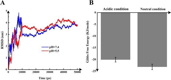 https://cdn.ncbi.nlm.nih.gov/pmc/blobs/8d7f/8278666/4a3c5b9419be/40360_2021_508_Fig7_HTML.jpg