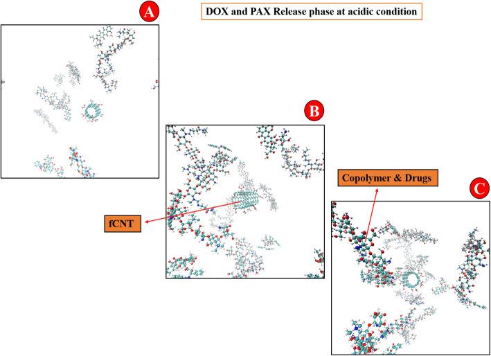 https://cdn.ncbi.nlm.nih.gov/pmc/blobs/8d7f/8278666/dc7b672101c4/40360_2021_508_Fig5_HTML.jpg