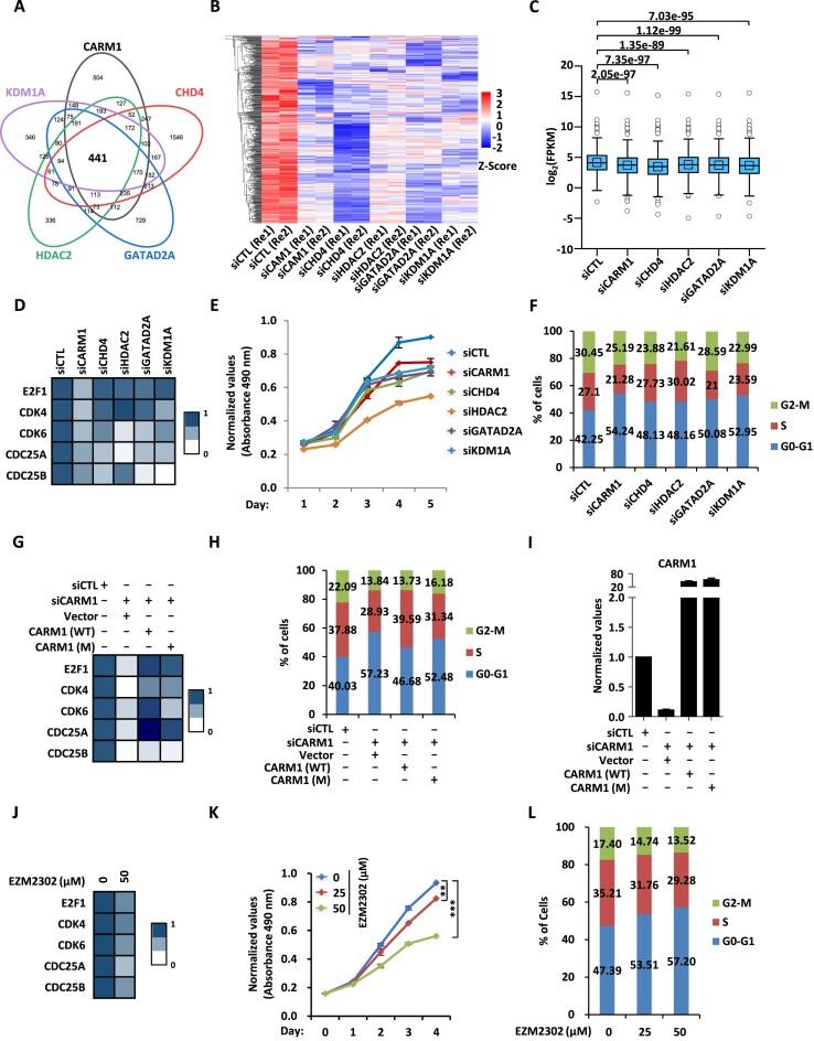 https://cdn.ncbi.nlm.nih.gov/pmc/blobs/8d80/11229315/05214dd7c9ea/gkae329fig4.jpg