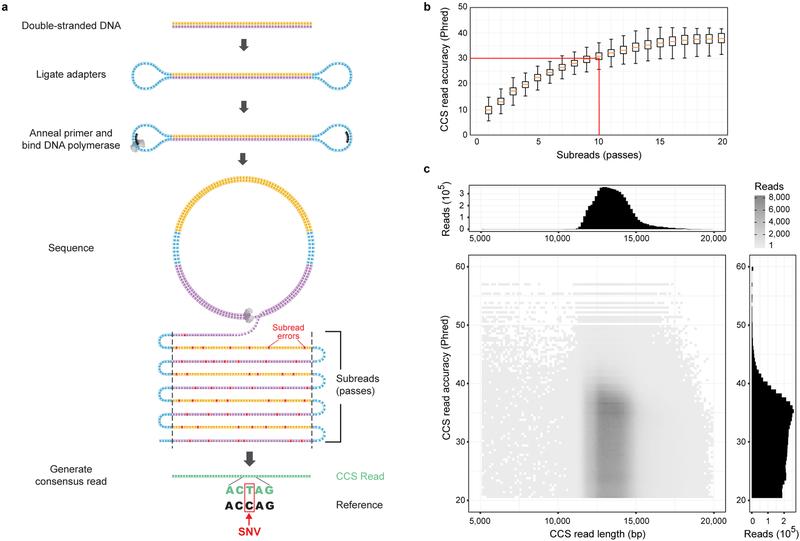 https://cdn.ncbi.nlm.nih.gov/pmc/blobs/8d81/6776680/1cdc01f785b4/nihms-1533949-f0001.jpg