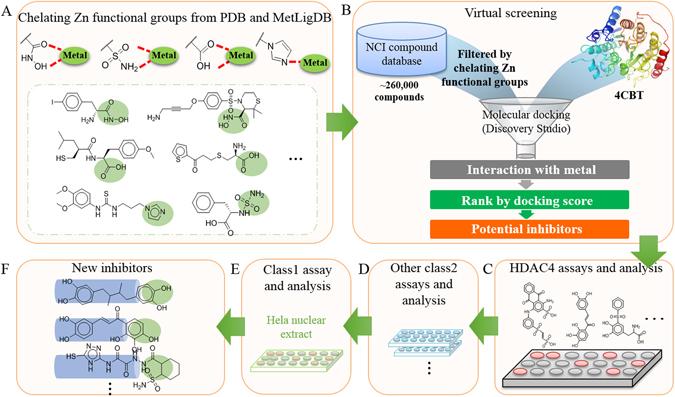 https://cdn.ncbi.nlm.nih.gov/pmc/blobs/8d82/5468338/2640036d220e/41598_2017_3417_Fig2_HTML.jpg