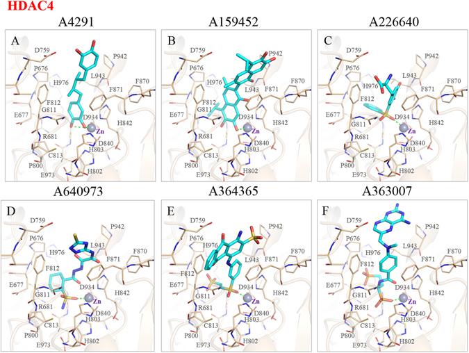 https://cdn.ncbi.nlm.nih.gov/pmc/blobs/8d82/5468338/d43ce0a65638/41598_2017_3417_Fig5_HTML.jpg