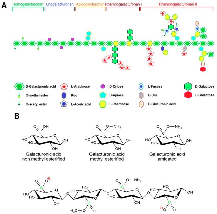 https://cdn.ncbi.nlm.nih.gov/pmc/blobs/8d84/10255125/c2d8adc9bd03/polymers-15-02516-g003.jpg