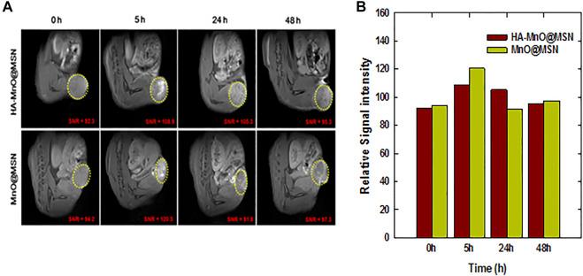 https://cdn.ncbi.nlm.nih.gov/pmc/blobs/8d84/9326367/743aa9d079c9/fbioe-10-910902-g009.jpg