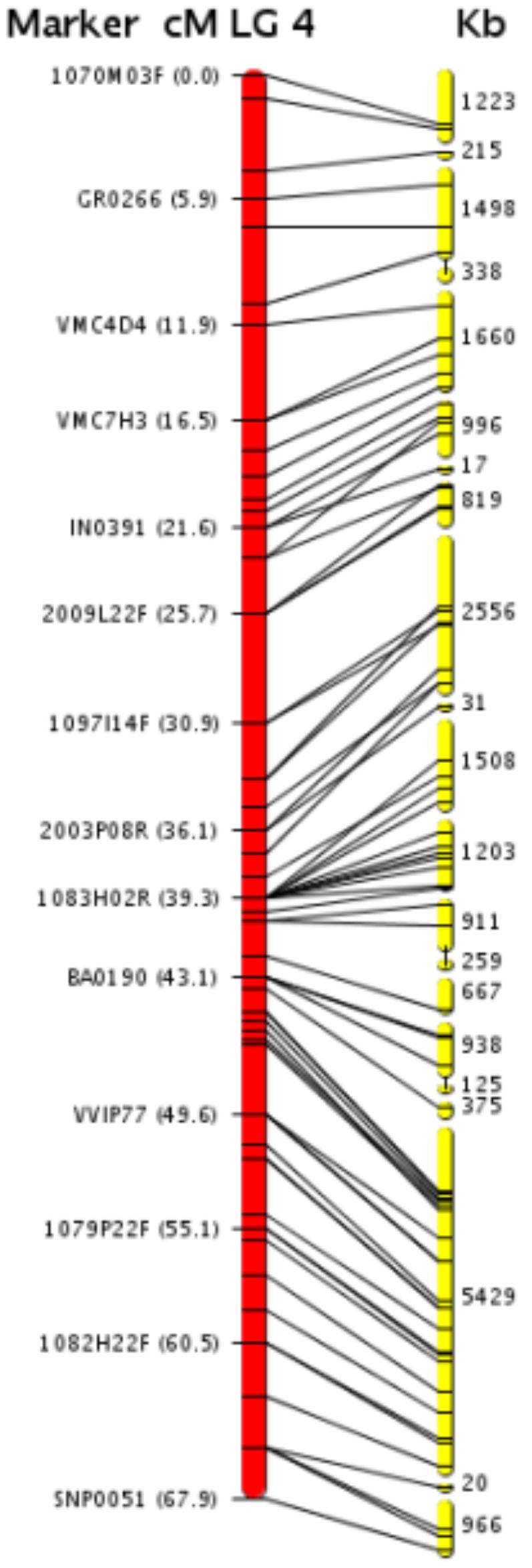 https://cdn.ncbi.nlm.nih.gov/pmc/blobs/8d85/2147077/b22f7ce4de45/pone.0001326.g001.jpg
