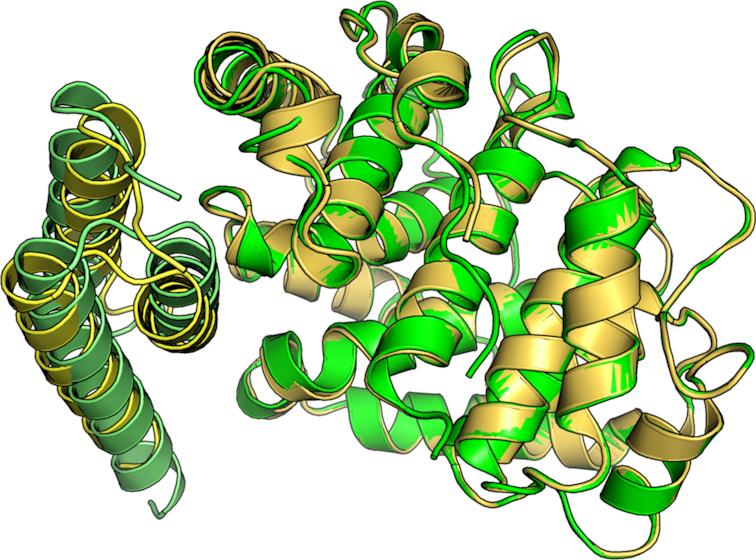 https://cdn.ncbi.nlm.nih.gov/pmc/blobs/8d85/6602443/d44ae1a93a4c/gkz397fig5.jpg