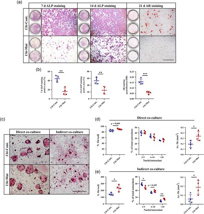 https://cdn.ncbi.nlm.nih.gov/pmc/blobs/8d87/8048423/be0d72f30bb9/JCP-236-4580-g004.jpg