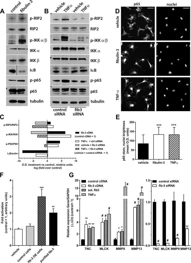 https://cdn.ncbi.nlm.nih.gov/pmc/blobs/8d88/5570669/e05c900ffef1/nihms857883f1.jpg