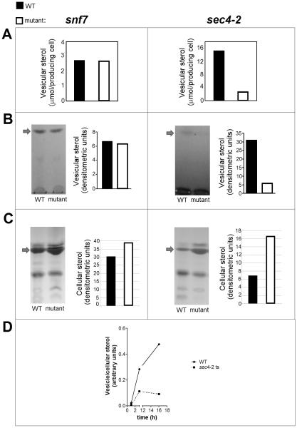 https://cdn.ncbi.nlm.nih.gov/pmc/blobs/8d8a/2885426/a142728f5b99/pone.0011113.g006.jpg