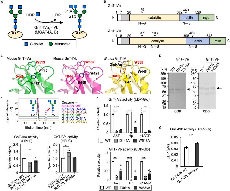 https://cdn.ncbi.nlm.nih.gov/pmc/blobs/8d8c/11635297/b47d810097f3/gr1.jpg