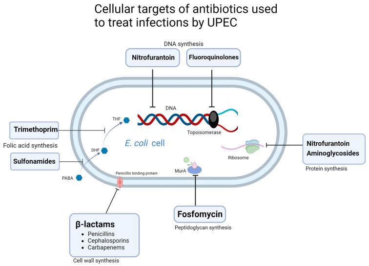 https://cdn.ncbi.nlm.nih.gov/pmc/blobs/8d8e/10537683/661db827fdd0/microorganisms-11-02169-g002.jpg