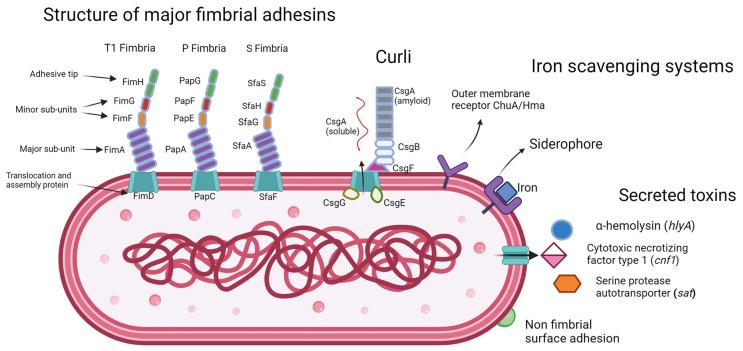 https://cdn.ncbi.nlm.nih.gov/pmc/blobs/8d8e/10537683/665a12459da7/microorganisms-11-02169-g001.jpg