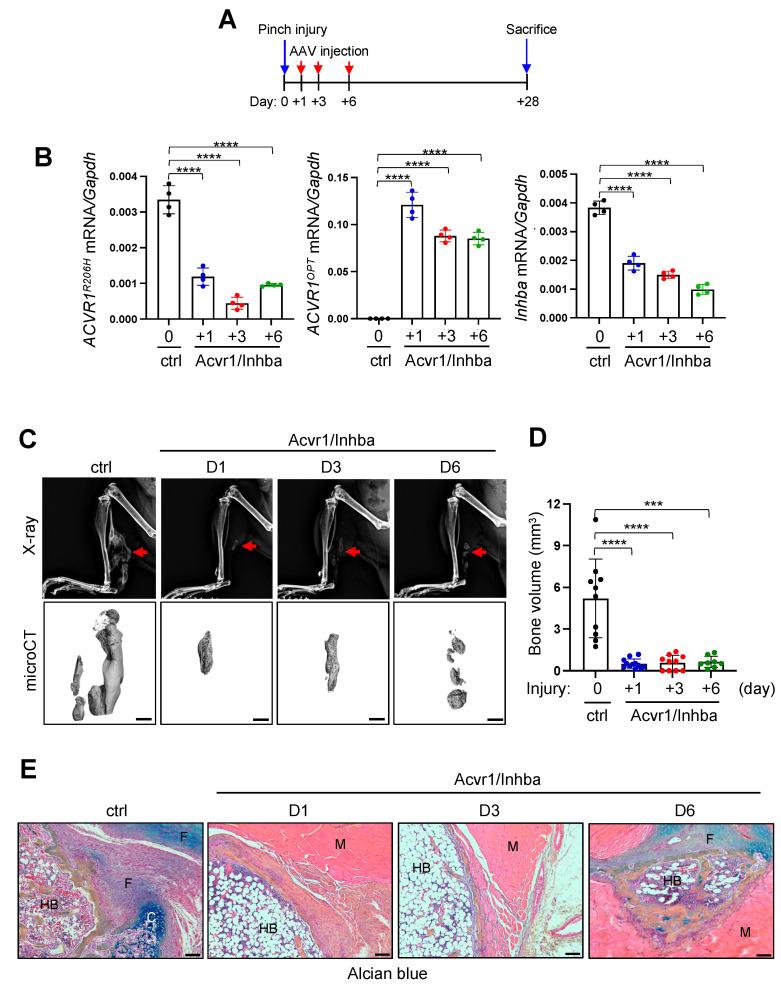 https://cdn.ncbi.nlm.nih.gov/pmc/blobs/8d90/10526456/4640bf18779b/biomolecules-13-01364-g006.jpg