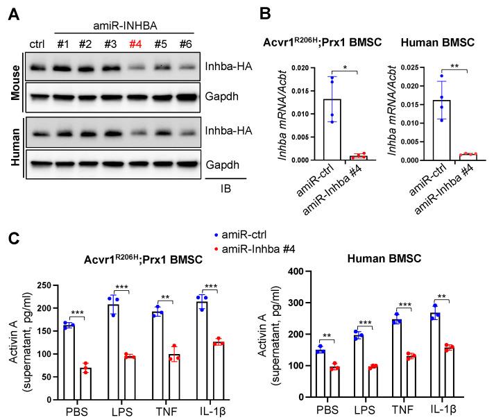 https://cdn.ncbi.nlm.nih.gov/pmc/blobs/8d90/10526456/5963cadf4b8d/biomolecules-13-01364-g002.jpg