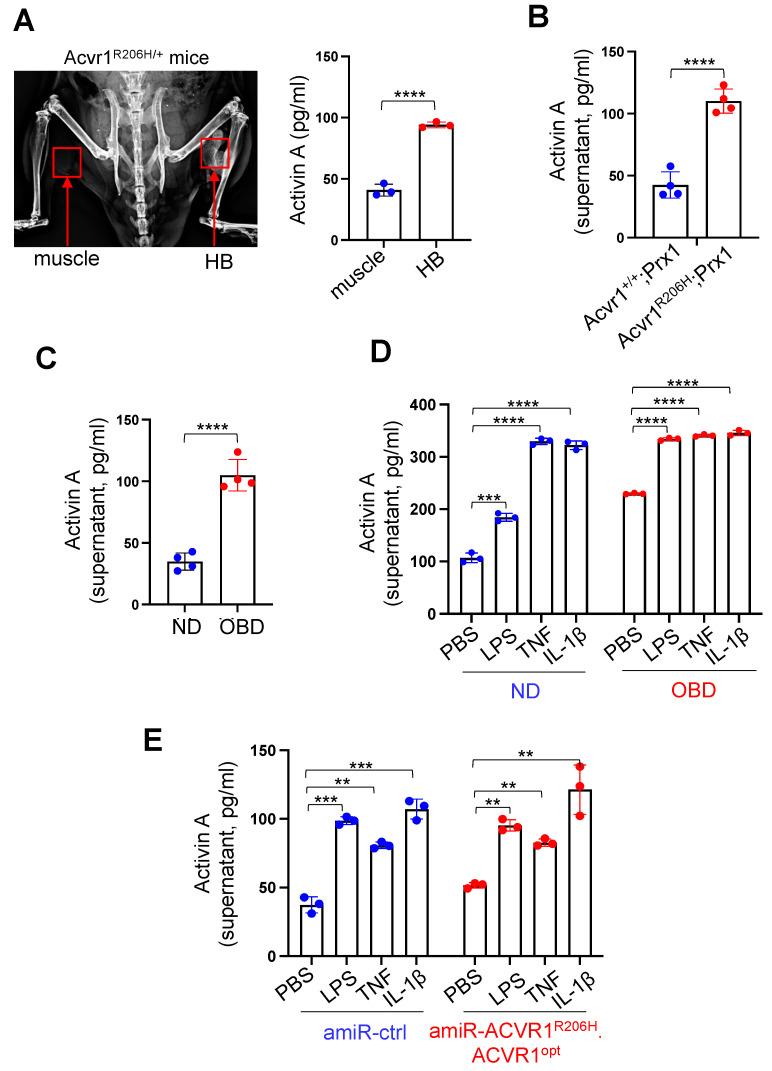 https://cdn.ncbi.nlm.nih.gov/pmc/blobs/8d90/10526456/78f0012ef786/biomolecules-13-01364-g001.jpg