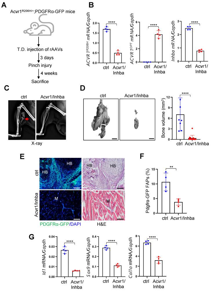 https://cdn.ncbi.nlm.nih.gov/pmc/blobs/8d90/10526456/8bd5a5cdf403/biomolecules-13-01364-g005.jpg
