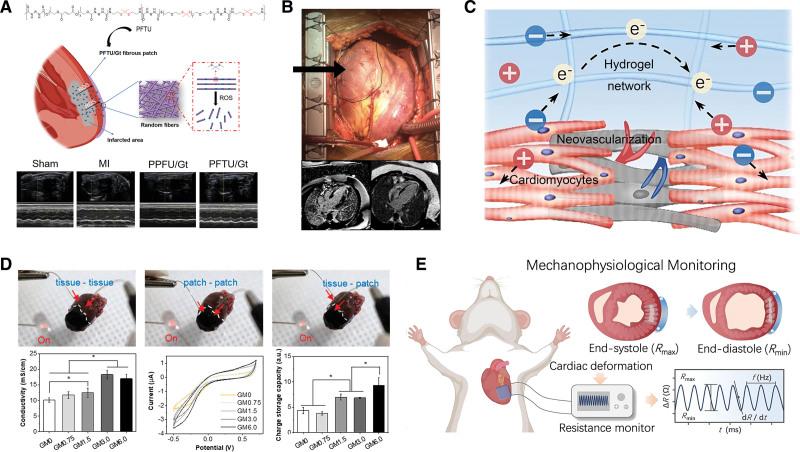 https://cdn.ncbi.nlm.nih.gov/pmc/blobs/8d90/11191561/991b541ed19e/cir-149-2002-g005.jpg