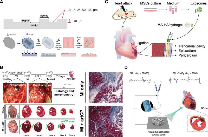 https://cdn.ncbi.nlm.nih.gov/pmc/blobs/8d90/11191561/bcc69ef32e16/cir-149-2002-g007.jpg
