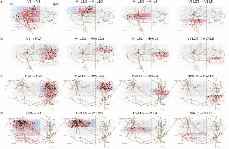 https://cdn.ncbi.nlm.nih.gov/pmc/blobs/8d92/11981947/1e1f034d64c0/41586_2025_8840_Fig11_ESM.jpg