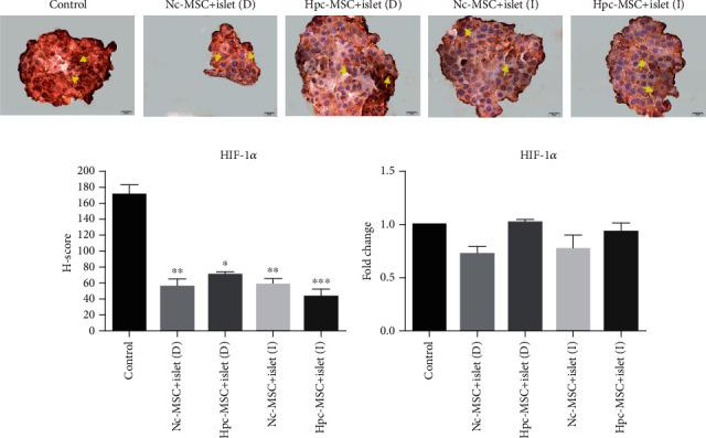 https://cdn.ncbi.nlm.nih.gov/pmc/blobs/8d94/7759420/44dc39a9e4d8/SCI2020-8857457.007.jpg