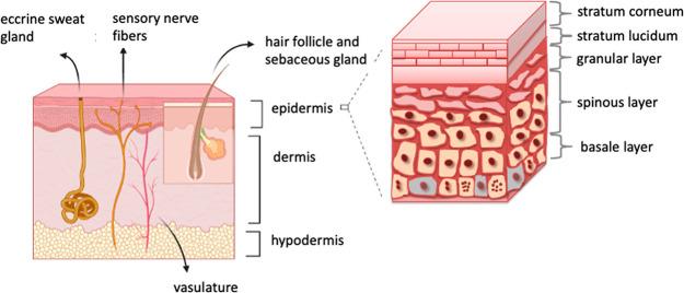 https://cdn.ncbi.nlm.nih.gov/pmc/blobs/8d94/8787816/c0376305c844/sb1c00547_0001.jpg