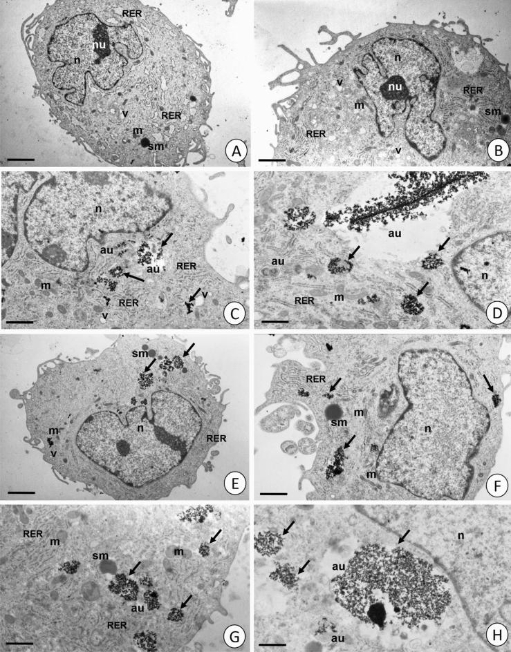 https://cdn.ncbi.nlm.nih.gov/pmc/blobs/8d97/10185678/436d2c387f23/41598_2023_34738_Fig9_HTML.jpg