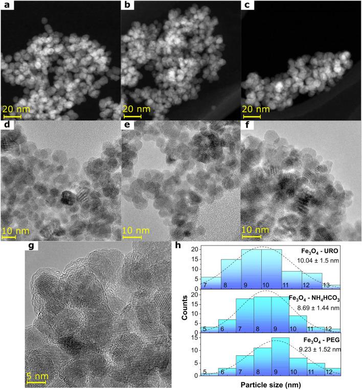 https://cdn.ncbi.nlm.nih.gov/pmc/blobs/8d97/10185678/dae3edfec918/41598_2023_34738_Fig1_HTML.jpg