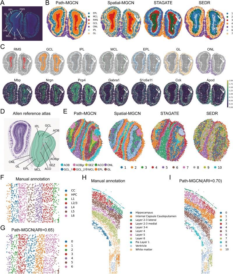 https://cdn.ncbi.nlm.nih.gov/pmc/blobs/8d97/12284772/d3d1d049384c/bbaf365f5.jpg