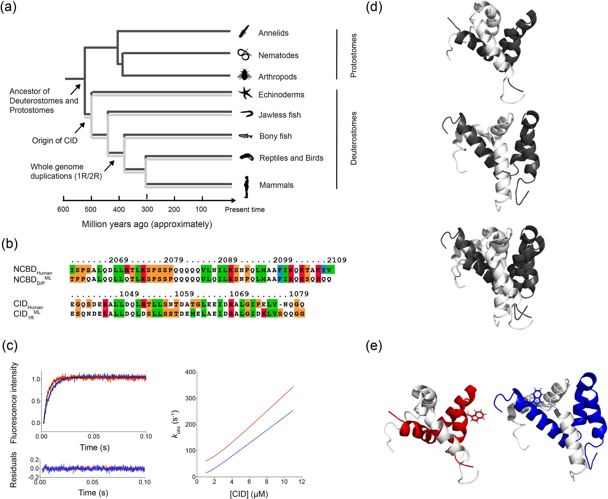 https://cdn.ncbi.nlm.nih.gov/pmc/blobs/8d97/7762952/789c2212e5bc/SB-JBCJ200827F001.jpg