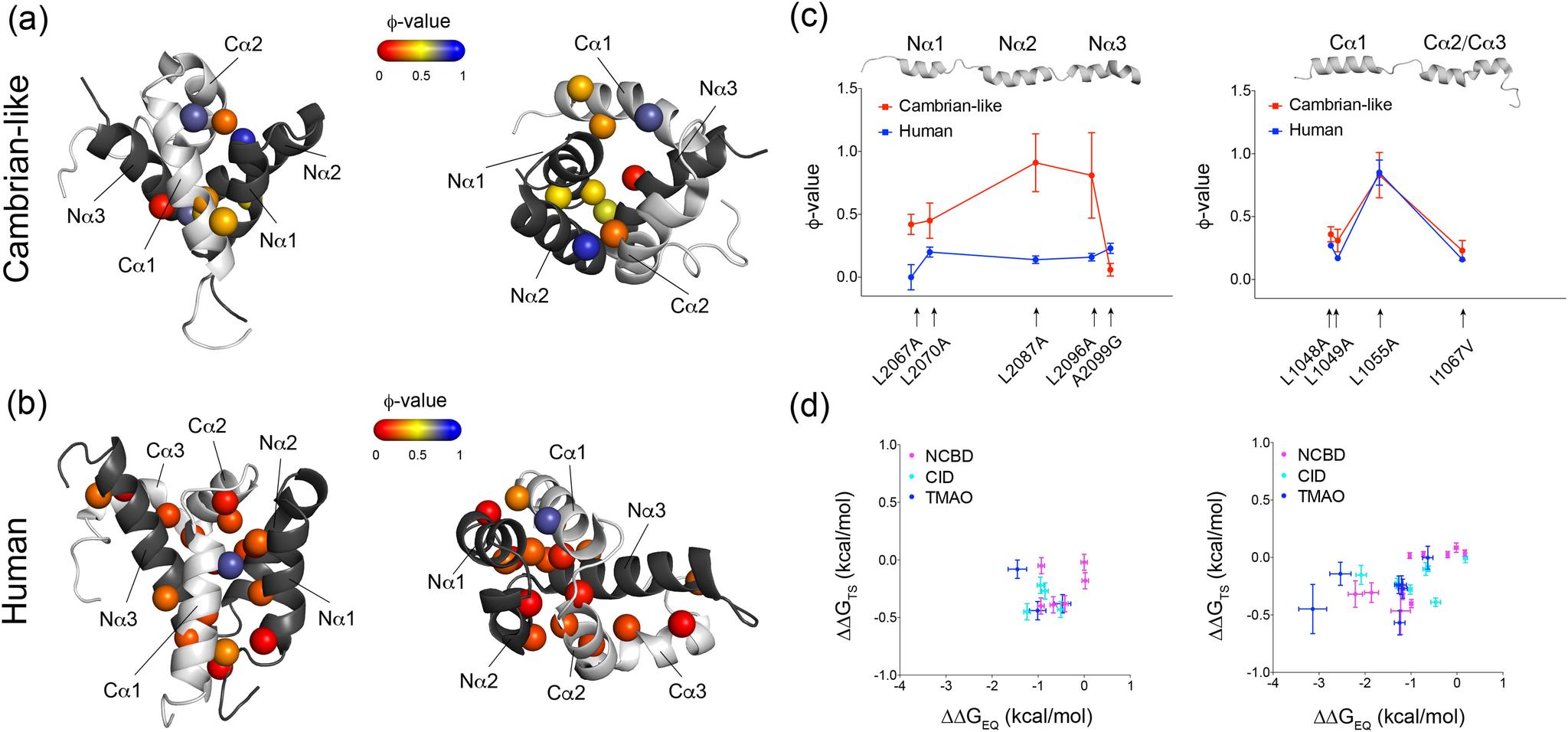 https://cdn.ncbi.nlm.nih.gov/pmc/blobs/8d97/7762952/882f6b50cfe1/SB-JBCJ200827F002.jpg
