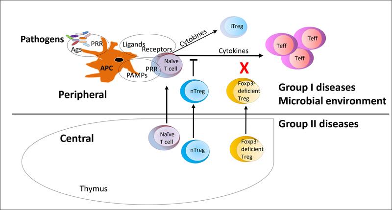 https://cdn.ncbi.nlm.nih.gov/pmc/blobs/8d99/8446091/9df9cb64ce65/nihms-1675352-f0002.jpg