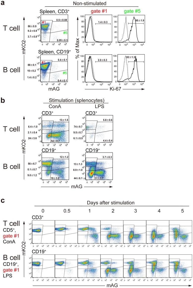 https://cdn.ncbi.nlm.nih.gov/pmc/blobs/8d9b/3774768/613c65b6672c/pone.0073801.g004.jpg