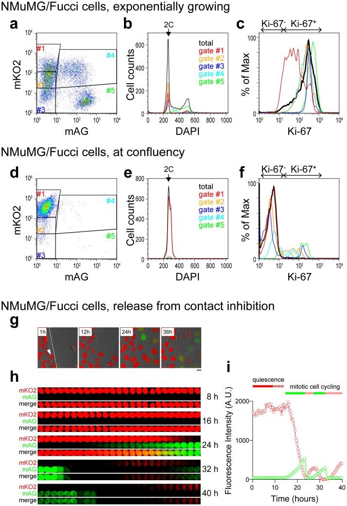 https://cdn.ncbi.nlm.nih.gov/pmc/blobs/8d9b/3774768/df4fab93ec5a/pone.0073801.g001.jpg