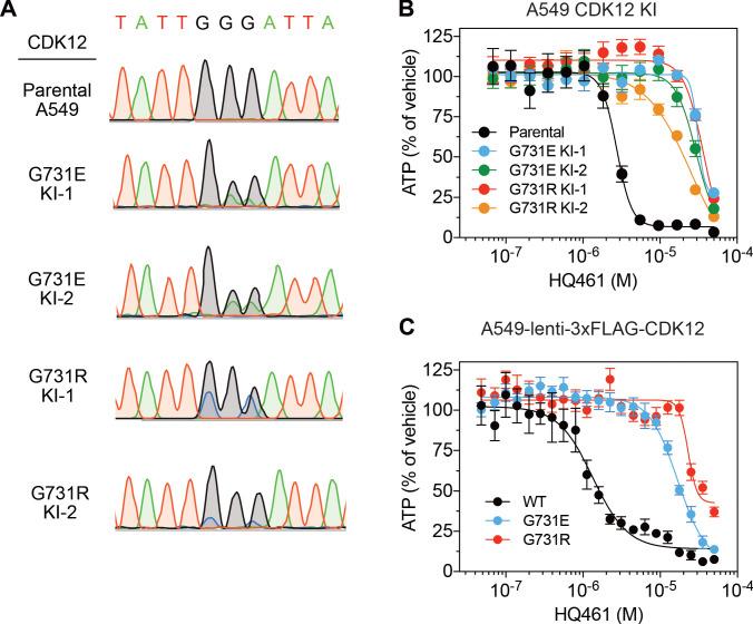 https://cdn.ncbi.nlm.nih.gov/pmc/blobs/8d9d/7462607/87d6c8964c1d/elife-59994-fig2-figsupp1.jpg