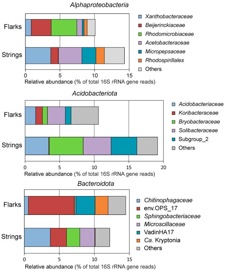 https://cdn.ncbi.nlm.nih.gov/pmc/blobs/8d9d/8778904/f6d81e7a66c7/microorganisms-10-00170-g004.jpg