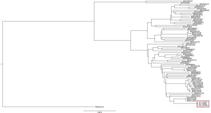 https://cdn.ncbi.nlm.nih.gov/pmc/blobs/8d9f/10986572/a2be523b4d13/spectrum.02133-23.f003.jpg