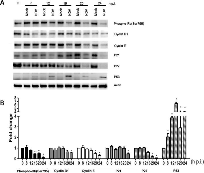 https://cdn.ncbi.nlm.nih.gov/pmc/blobs/8d9f/7112094/bebeb0369734/gr5_lrg.jpg