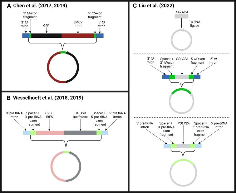 https://cdn.ncbi.nlm.nih.gov/pmc/blobs/8da0/10257478/112c7bab3c2e/mjad002fig1.jpg