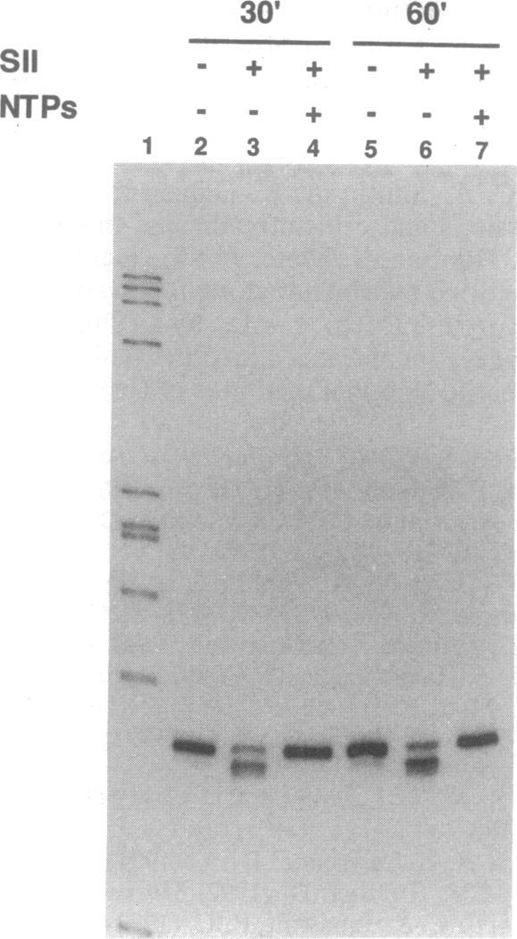 https://cdn.ncbi.nlm.nih.gov/pmc/blobs/8da4/44634/9222970f685b/pnas01140-0207-a.jpg