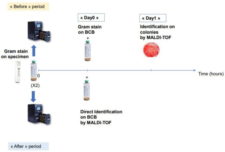 https://cdn.ncbi.nlm.nih.gov/pmc/blobs/8da5/9228703/4a8fd4541343/microorganisms-10-01188-g001.jpg