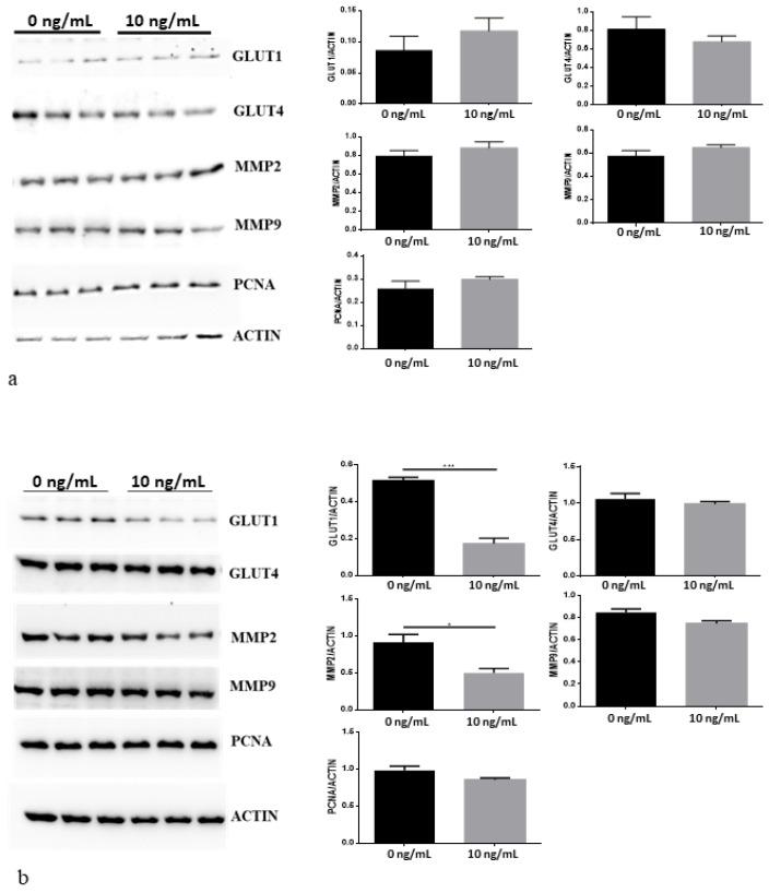 https://cdn.ncbi.nlm.nih.gov/pmc/blobs/8da6/9739171/556b8315963c/cancers-14-05917-g004.jpg