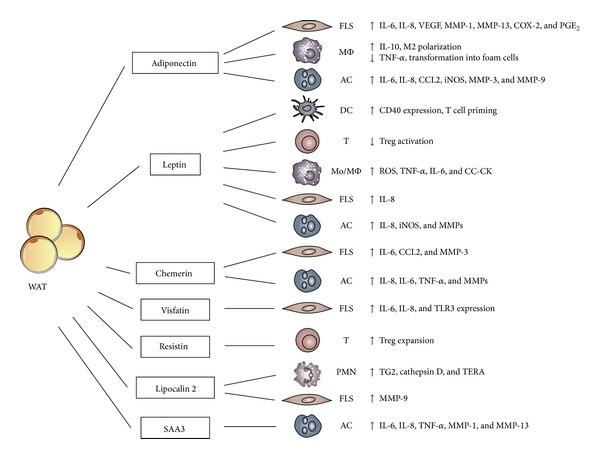 https://cdn.ncbi.nlm.nih.gov/pmc/blobs/8da7/3985296/4b4e4275c2ae/MI2014-425068.001.jpg