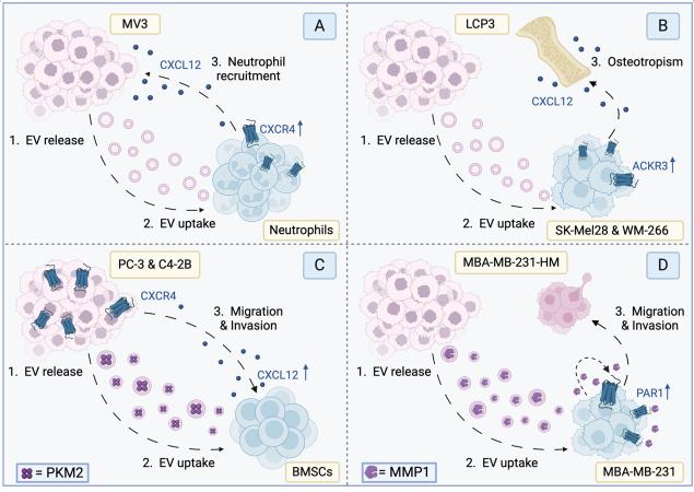https://cdn.ncbi.nlm.nih.gov/pmc/blobs/8da8/11648488/1aec79f49d96/evcna-5-2-233.fig.3.jpg